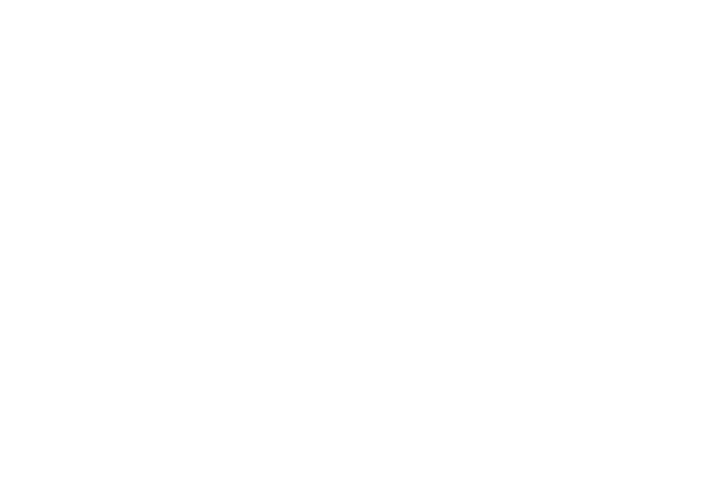 THE FIRST PENGUIN COMPANY